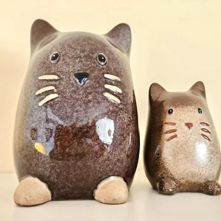 Casa Kusama 科拉雷侯